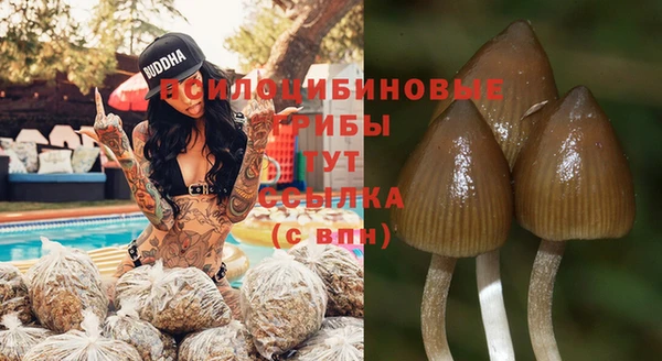 гашишное масло Медногорск