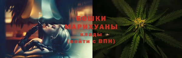 сатива Мегион