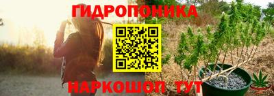 шишки Краснознаменск