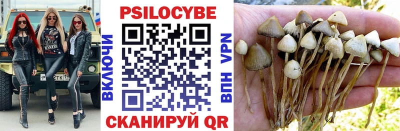 Псилоцибиновые грибы Magic Shrooms  продажа наркотиков  Родники 